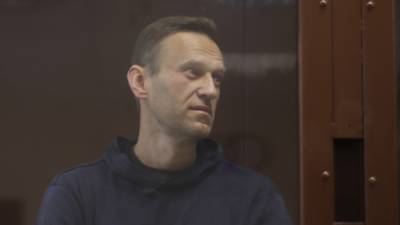 ФАН проанализировал, почему сторонники Навального массово сбежали в Грузию
