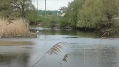 Нечистоты и отходы от переработки пластика сбрасывает в реку, вся грязь течёт в Донбасс