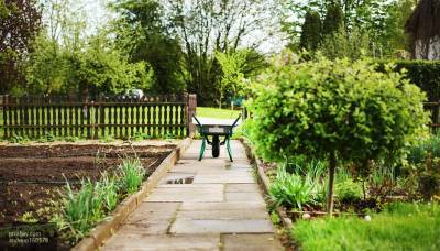 Перечислены советы, которые помогут оформить садовый участок