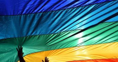 В правительстве Британии появился спецпредставитель по правам ЛГБТ