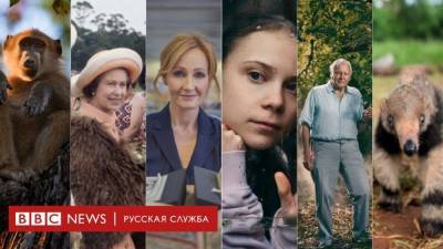 Новый сезон документальных фильмов Би-би-си на Русской службе
