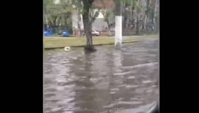 Потоп случился в Одессе: появилось видео, как улица ушла под воду
