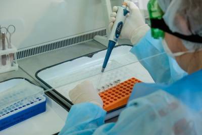 В Волгоградской области новые случаи коронавируса выявили в 15 районах