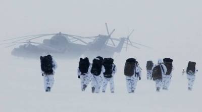 Дания и США обеспокоены наращиваением сил России в Арктике