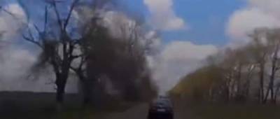 Без колес: Житомирський водій потрапив у ТОП автокурйозів на українських дорогах