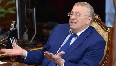 Жириновский высказался об уничтожении Германии как государства