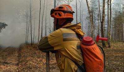 Как борются с лесными пожарами в Тюменской области и насколько это эффективно