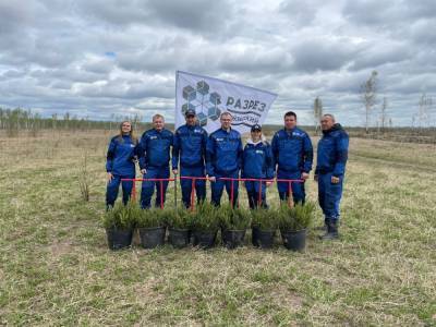 Угольщики поддержали масштабные высадки в Ижморском районе, приуроченные к 300-летию Кузбасса и Всемирному дню посадки леса