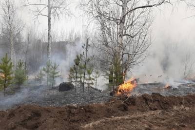 Три лесных пожара на 75 га обнаружены в трех районах Забайкалья