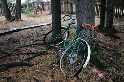 В Челябинской области велосипедист погиб, врезавшись в столб