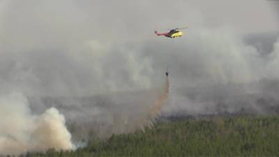 Новости на "России 24". Леса Тюменской области продолжают гореть