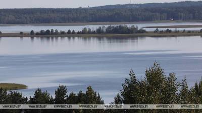 Пять озер нацпарка "Браславские озера" зарыбили более 1,3 млн личинок щуки