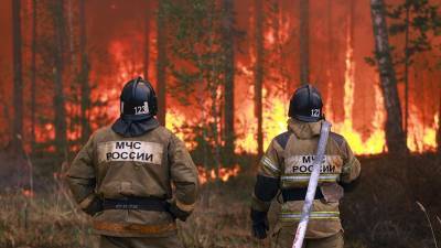 Губернатор Новосибирской области заявил о стабилизации ситуации с пожарами