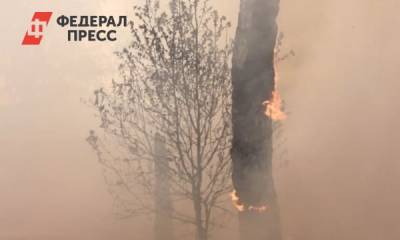 За выходные в Тюменской области потушили 33 пожара