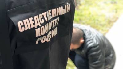 Студент вуза в Петербурге задержан за наезды на прохожих на электросамокате