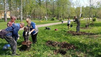 В Чехове в рамках акции «Лес Победы» высадили более 200 деревьев