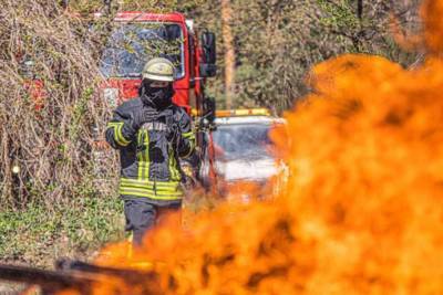 На прошлой неделе спасатели ГСЧС ликвидировали полторы тысячи пожаров
