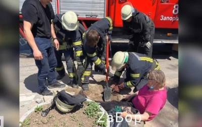 В Запорожье женщина по пояс провалилась под землю - korrespondent.net - Запорожье - Ужгород