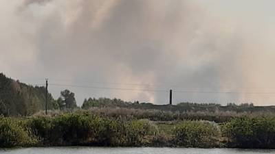 В Тюмени тушат пожар возле деревни Железный Перебор и санатория «Пышма»