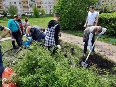 В Липецке «Милосердие» помогает с озеленением и благоустройством дворов