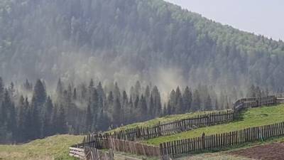 В Челябинской области на видео попал удивительный зеленый туман