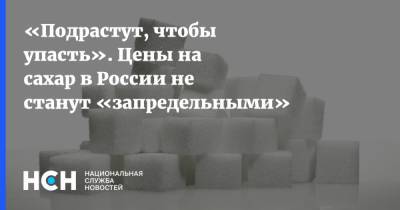 «Подрастут, чтобы упасть». Цены на сахар в России не станут «запредельными»