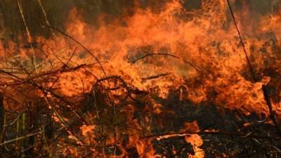 Природные пожары превращают в пепел дачные поселки в России