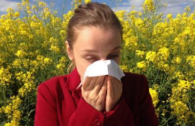 Не чихайте на цветы! Липецкие врачи дают советы аллергикам