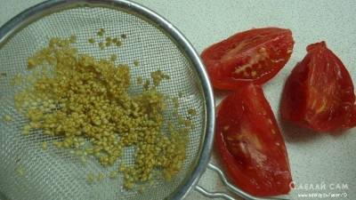 Как правильно собрать семена томатов в домашних условиях? - skuke.net