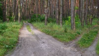 В Чехове в июле-августе заасфальтируют 13 народных троп