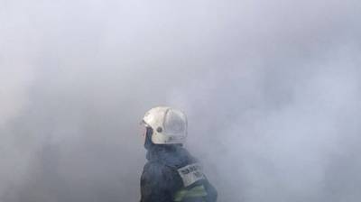 Пожарные сообщили о ликвидации возгорания надворных построек в селе Логиново