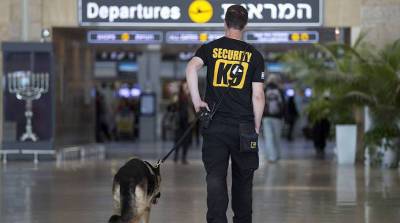 Все авиакомпании приостановили рейсы в Израиль