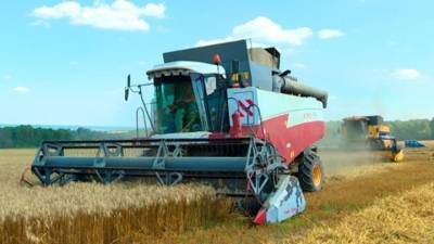 Правительство утвердило программу увеличения сельхозплощадей