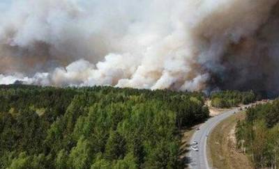 Пожар у озера Андреевское, который тушат 461 человек, локализован