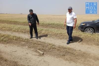Песчаная буря накрыла север Дагестана