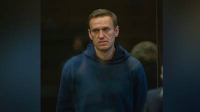 Названа вероятная причина отсутствия поддержки Навального среди россиян