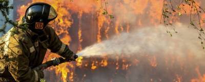 В Волгоградской области с 18 мая введут особый противопожарный режим