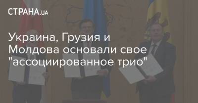Украина, Грузия и Молдова основали свое "ассоциированное трио"