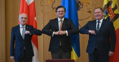 Украина, Грузия и Молдова основали "Ассоциированное трио" для вступления в ЕС
