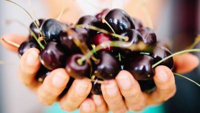 Полезная и калорийная: сколько черешни можно съесть в день