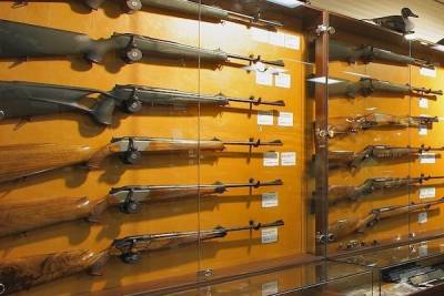 В ЗакСе Петербурга предложили новый подход к хранению оружия