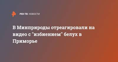 В Минприроды отреагировали на видео с "избиением" белух в Приморье