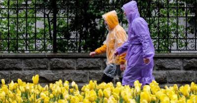 Дожди, град и шквалы: прогноз погоды в Украине на вторник, 18 мая