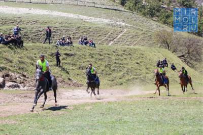 В Гумбетовском районе прошел республиканский конный фестиваль «Всадники Кавказа»