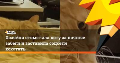 Хозяйка отомстила коту заночные забеги изаставила соцсети хохотать