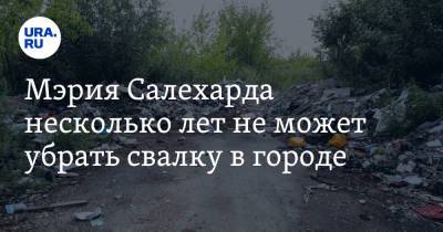 Мэрия Салехарда несколько лет не может убрать свалку в городе. Видео