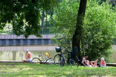 Более 30 градусов жары впервые за сезон зафиксировали в Москве 17 мая