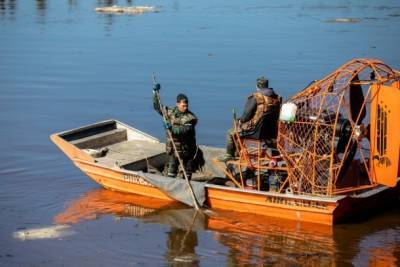 В трех муниципалитетах Коми введен режим чрезвычайной ситуации из-за попадания нефти в реки