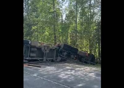 В Рязанской области столкнулись лесовоз и школьный автобус