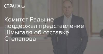 Комитет Рады не поддержал представление Шмыгаля об отставке Степанова